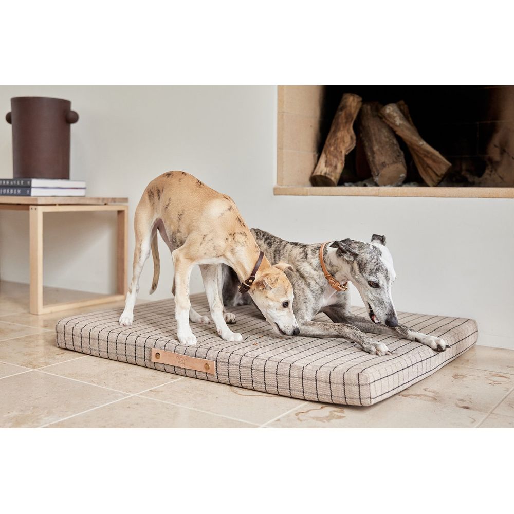 OYOY ZOO Milo Hahn Hunde kissen-Medium