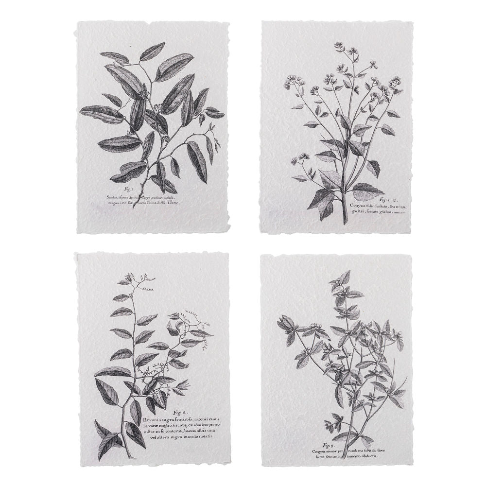 Póster Creative Collection Fribo, Black, Paper