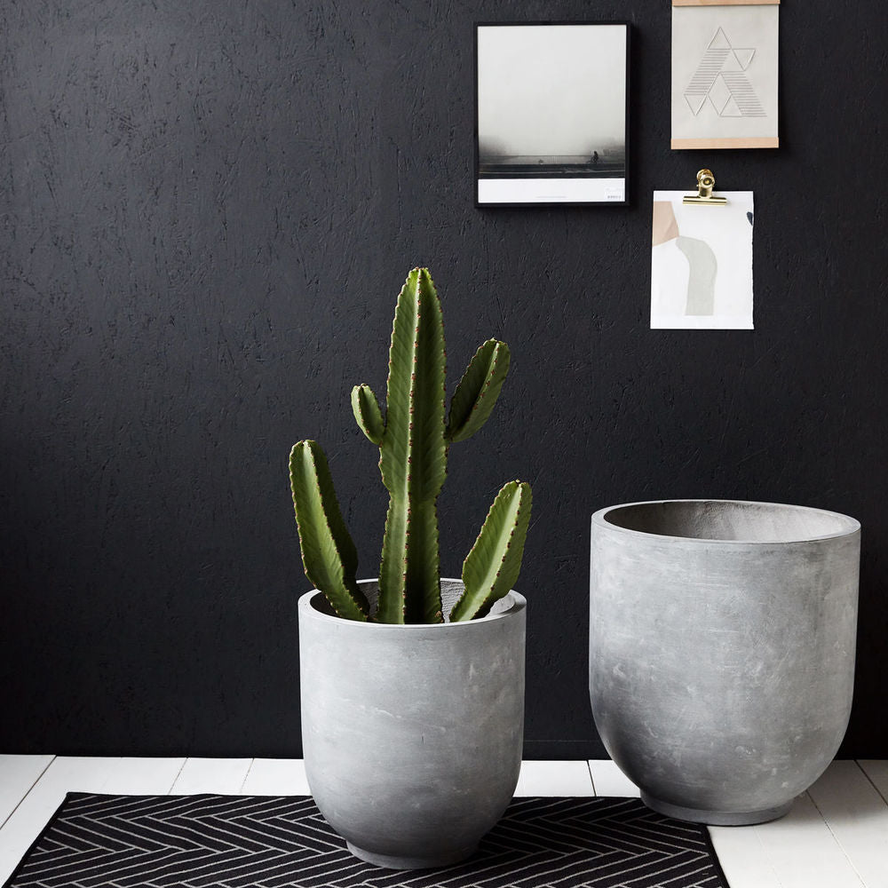 House Doctor Plantas, Gard, Gris