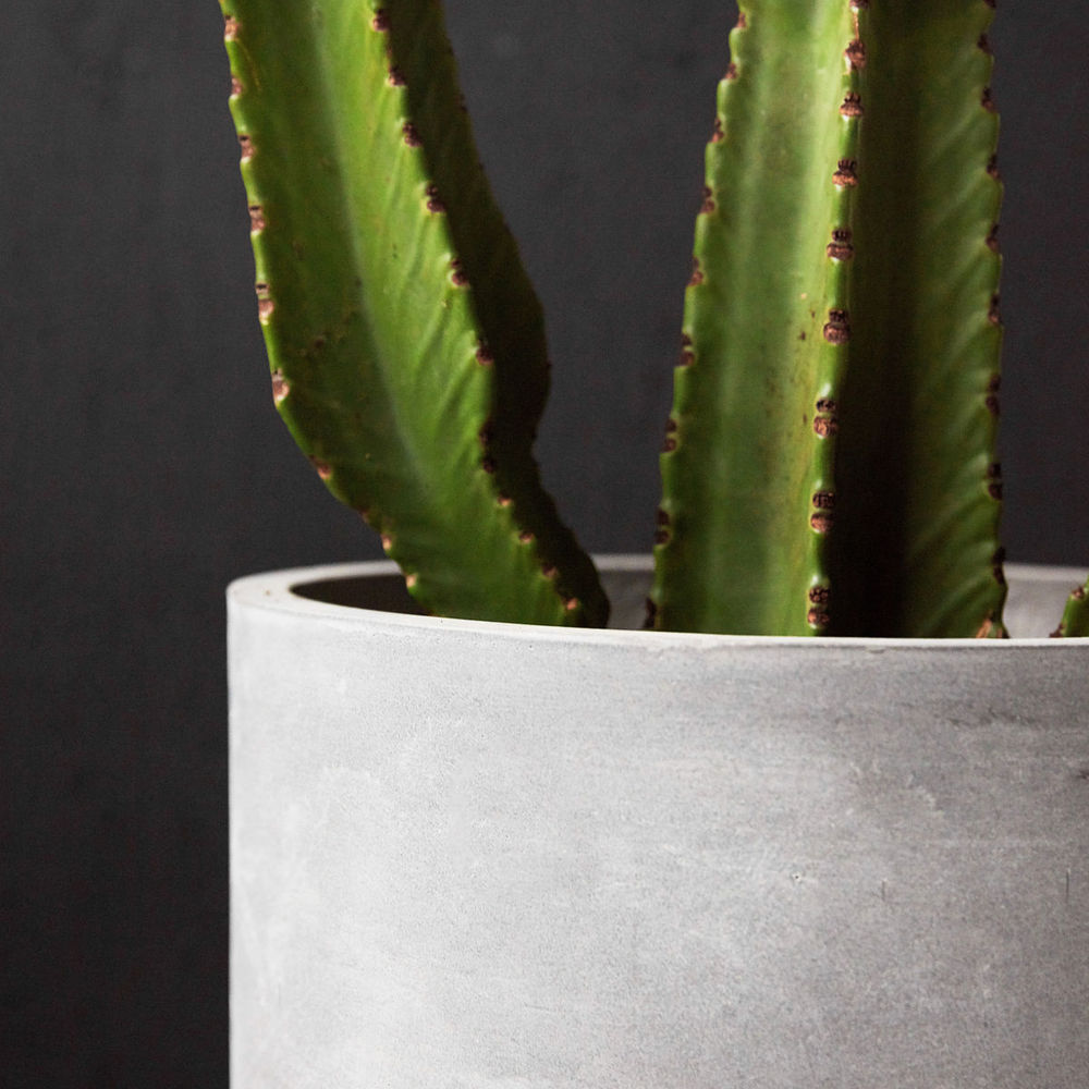 House Doctor Plantas, Gard, Gris