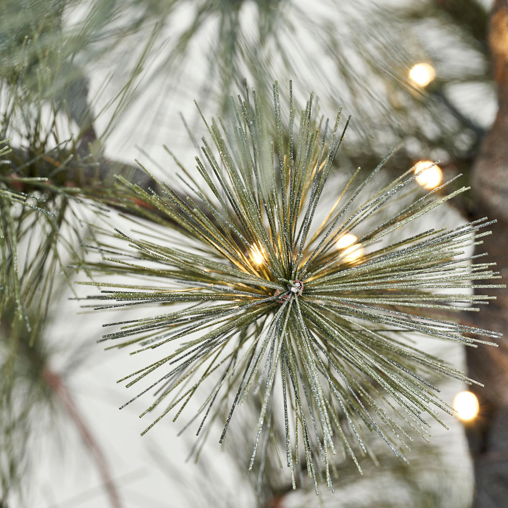 Hausarzt Weihnachts baum mit LED-Leuchten, Peuce, Natur