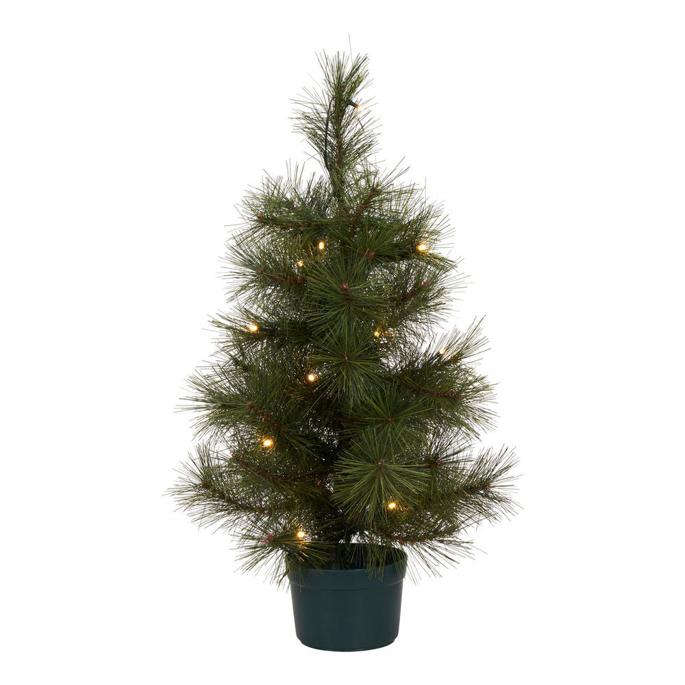 Hausarzt Weihnachts baum mit LED-Leuchten, Pinus, Natur